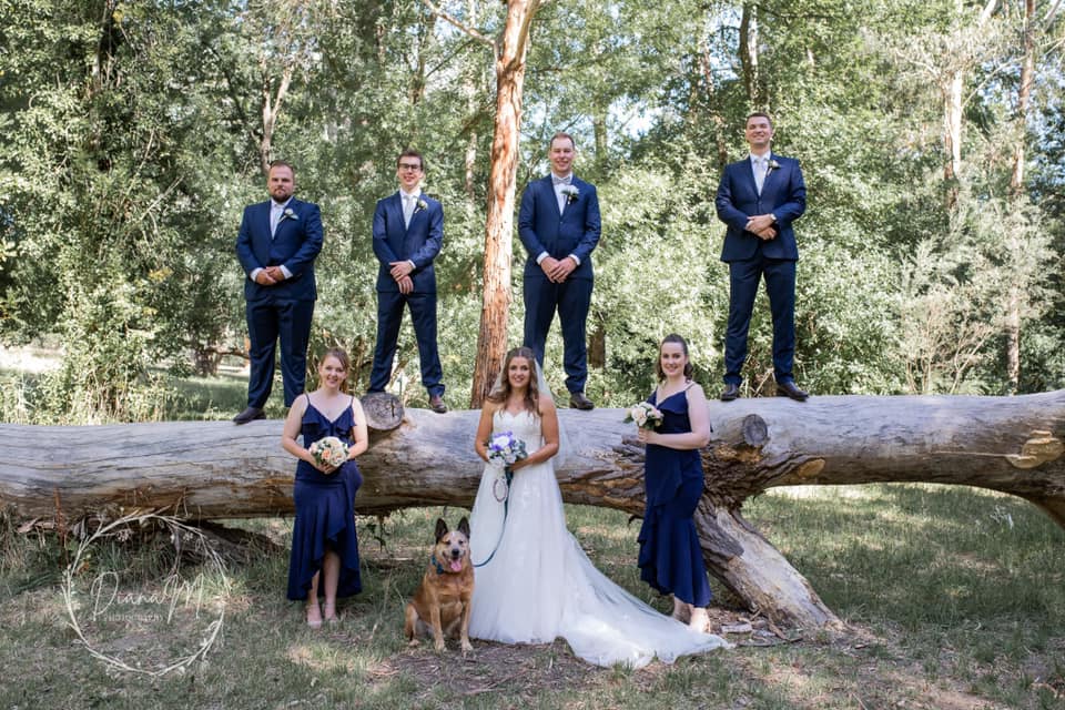 adelaide weddings with pets