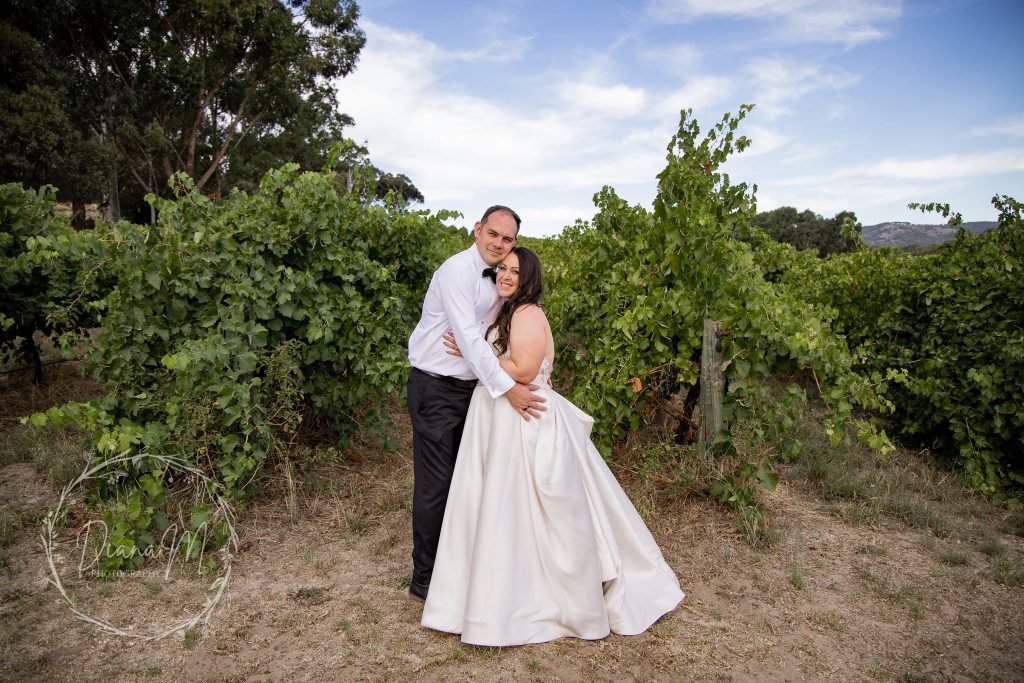 the currant shed - mclaren vale