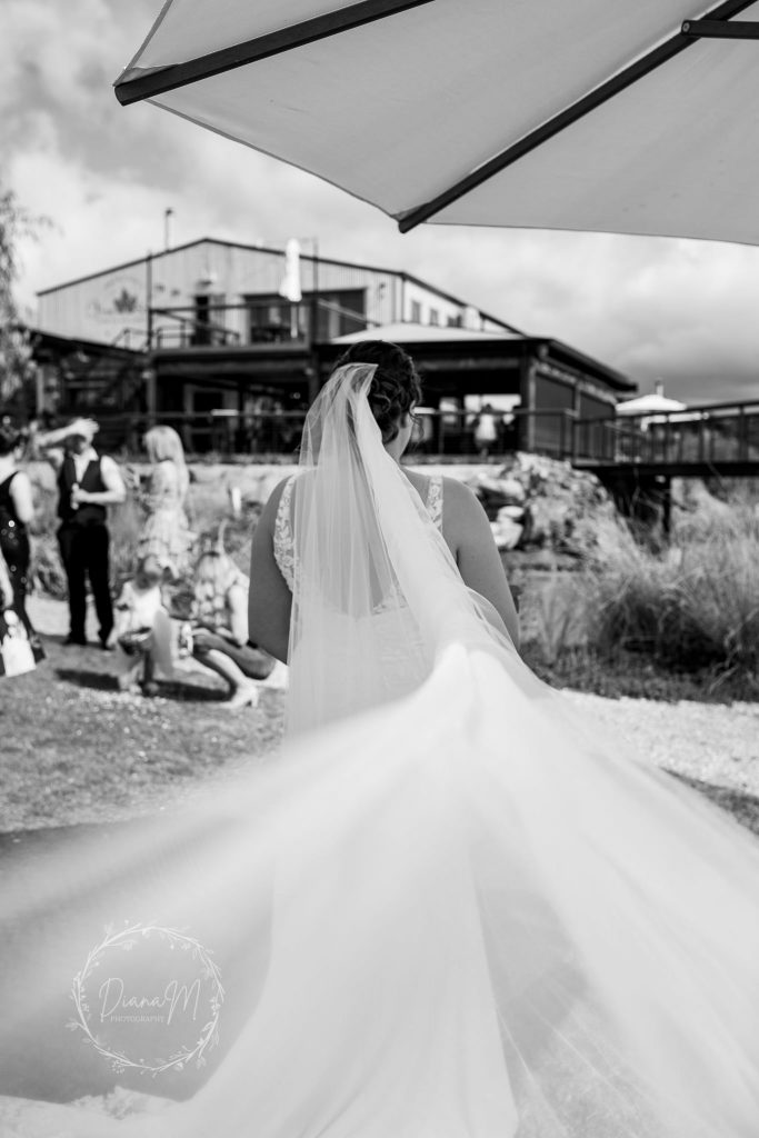 the vine shed weddings mclaren vale south australia