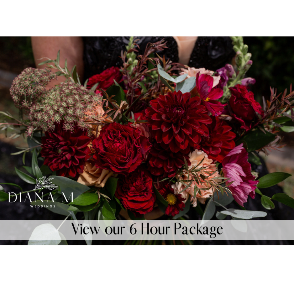 6 Hour Package adelaide wedding photography